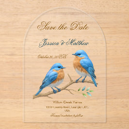 Ivory Pastel Lovebirds Romantische Bluebirds Hochz Acryleinladungen