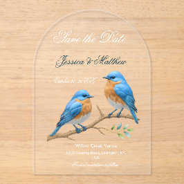 Ivory Pastel Lovebirds Romantische Bluebirds Hochz Acryleinladungen
