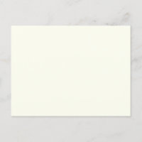 Ivory Solid Color