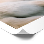 Ivory Wolf Chroma | Wölfe und Auto Poster (Ecke)