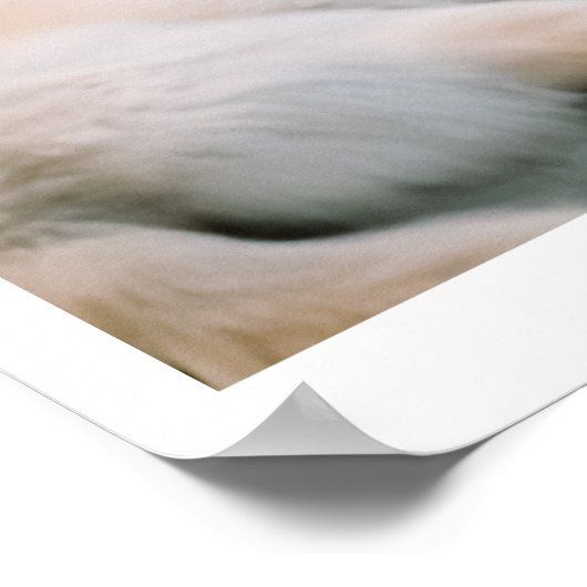 Ivory Wolf Chroma | Wölfe und Auto Poster (Ecke)