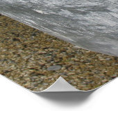 Ivory Zinnias Poster (Ecke)