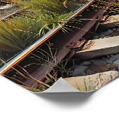 Ivy and Graffiti Covered Abandoned Train Poster (Ecke)