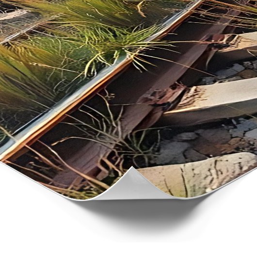 Ivy and Graffiti  Covered Abandoned Train  Poster (Ecke)