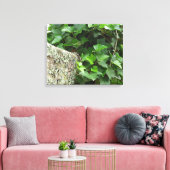 Ivy and Lichens - Martha's Vineyard Leinwanddruck (Insitu (Wohnzimmer))