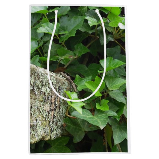 Ivy and Lichens - Martha's Vineyard Mittlere Geschenktüte (Vorderseite)