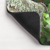 Ivy and Lichens - Martha's Vineyard Mousepad (Ecke)