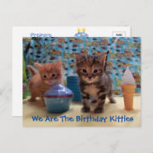 Ivy and Parker's Überraschung - Katze Geburtstag P Postkarte (Vorne/Hinten)
