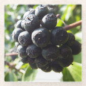 Ivy Berries Glass Untersetzer (Vorderseite)