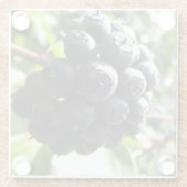 Ivy Berries Glass Untersetzer (Rückseite)