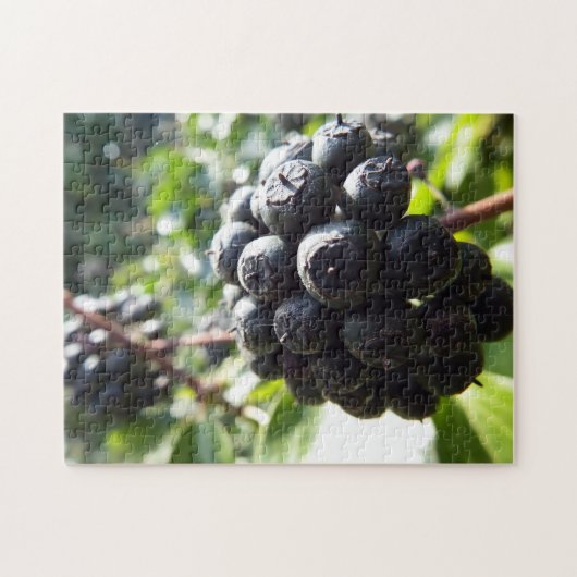 Ivy Berries Jigsaw Puzzle (Horizontal)