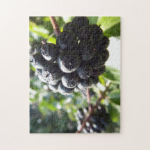 Ivy Berries Jigsaw Puzzle