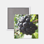 Ivy Berries Magnet (Vorderseite/Rückseite)