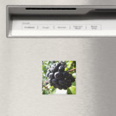 Ivy Berries Magnet (In Situ (Geschirrspüler))