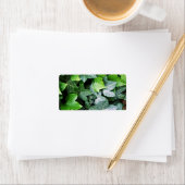 Ivy Blätter Adressaufkleber (Insitu)