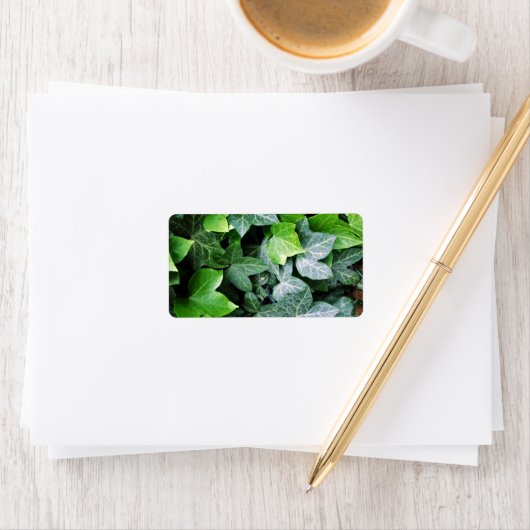 Ivy Blätter Adressaufkleber (Insitu)