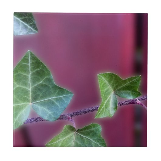 Ivy-Blätter Fliese (Vorderseite)