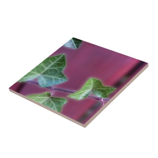 Ivy-Blätter Fliese (Seite)