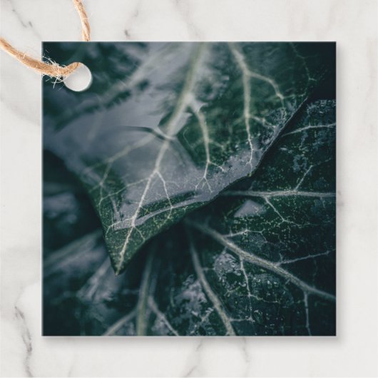 Ivy Blätter Nature Foto Geschenkanhänger (Vorderseite)