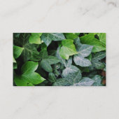 Ivy-Blätter Visitenkarte (Rückseite)
