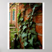 Ivy & Brick [Print] Poster (Vorne)