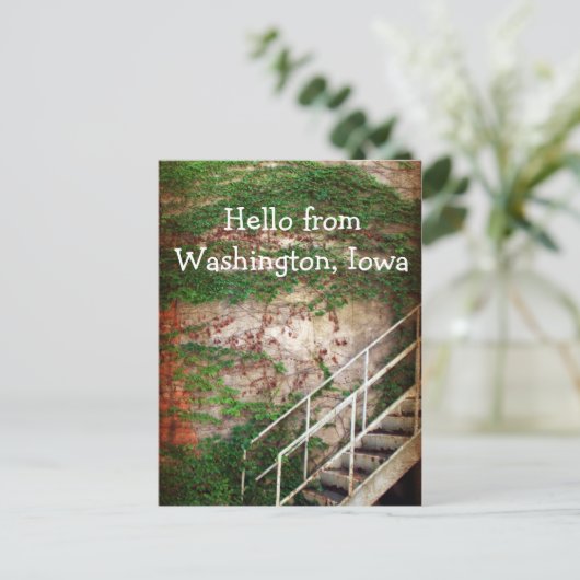 Ivy, Brick und Treppen Postkarte (Stehend Vorderseite)