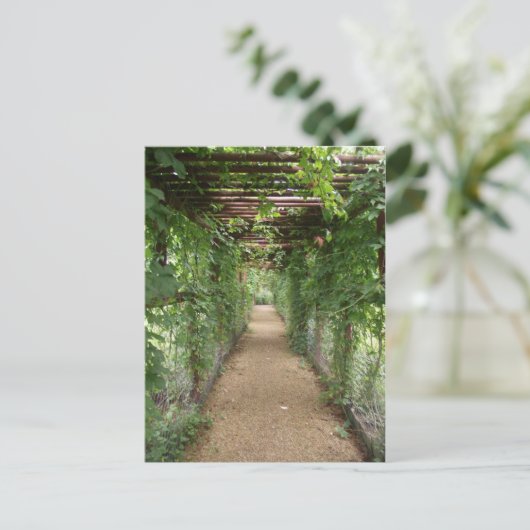 Ivy Covered Walkway Postkarte (Stehend Vorderseite)