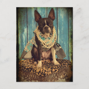 Ivy die Boston Terrierin Postkarte