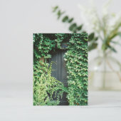 Ivy Door Postkarte (Stehend Vorderseite)
