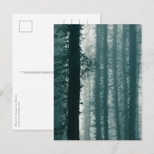 Ivy Forest Nature Foto Postkarte (Vorne/Hinten)