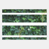 Ivy-Geschenkpackung Geschenkpapier Set (Vorderseite)