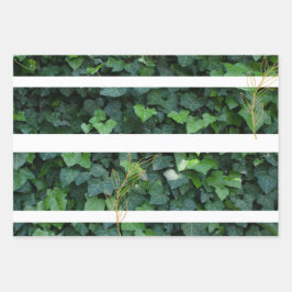 Ivy-Geschenkpackung Geschenkpapier Set