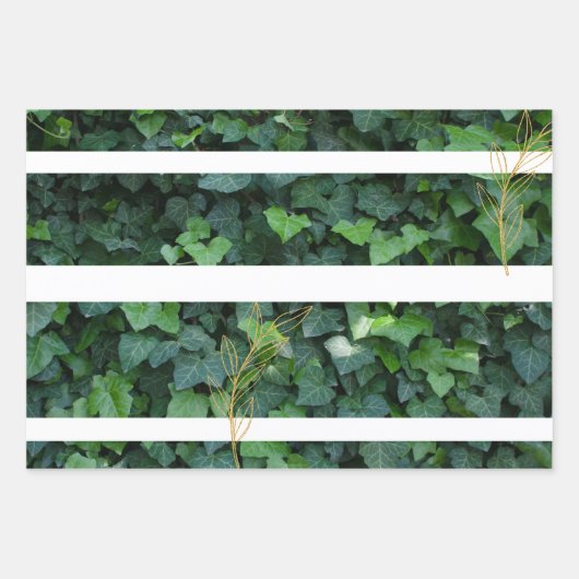 Ivy-Geschenkpackung Geschenkpapier Set (Vorderseite)