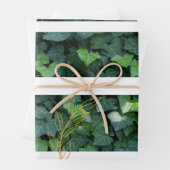 Ivy-Geschenkpackung Geschenkpapier Set (Beispiel)
