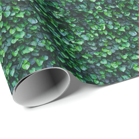 Ivy grüne Wand: natürliche Oberfläche. Geschenkpapier (Rolleneckpunkt)