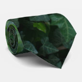 Ivy Krawatte (Gerollt)
