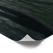 Ivy Leaf Nature Foto Poster (Ecke)