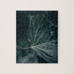 Ivy Leaf Nature Foto Puzzle