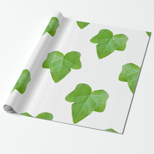 Ivy Leaf Pattern Geschenkpapier (Ungerollt)