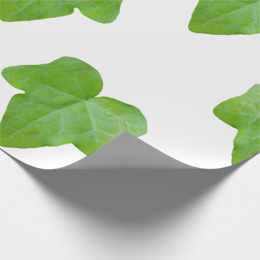 Ivy Leaf Pattern Geschenkpapier (Ecke)