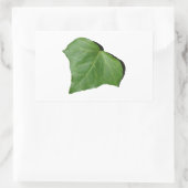 Ivy Leaf Rechteckiger Aufkleber (Tasche)