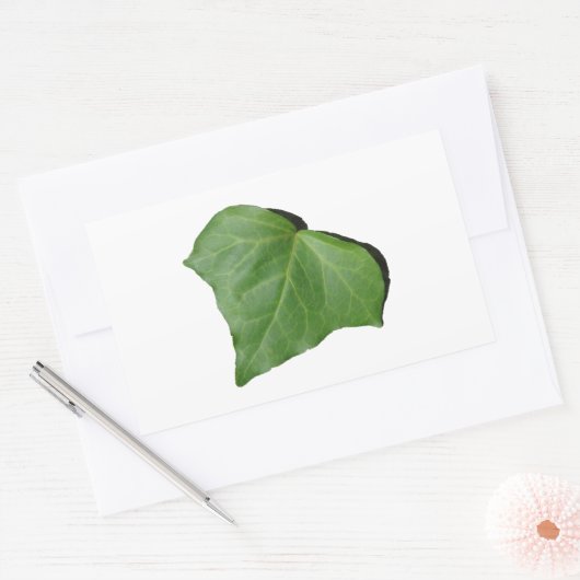 Ivy Leaf Rechteckiger Aufkleber (Umschlag)
