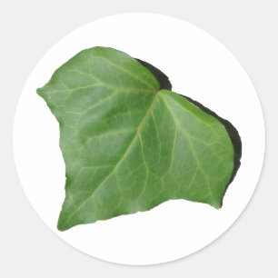 Ivy Leaf Runder Aufkleber