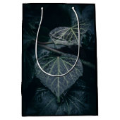 Ivy Nature Foto Mittlere Geschenktüte (Vorderseite)