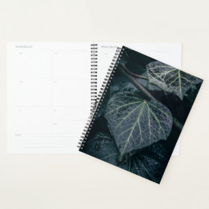 Ivy Nature Foto Planer