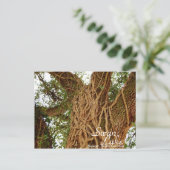 Ivy on Oak II Postkarte (Stehend Vorderseite)