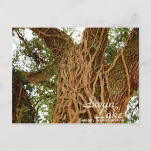 Ivy on Oak II Postkarte