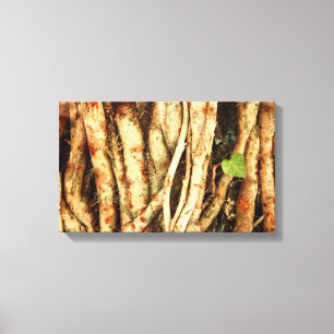 Ivy on Oak Leinwanddruck