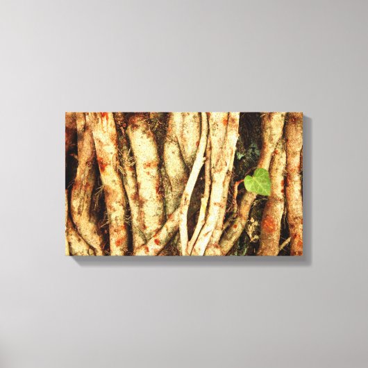 Ivy on Oak Leinwanddruck (Vorderseite)