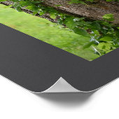 Ivy on Tree Poster (Ecke)